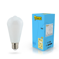 123inkt 123led E27 ledlamp Edison mat dimbaar 7W (60W)  LDR02116