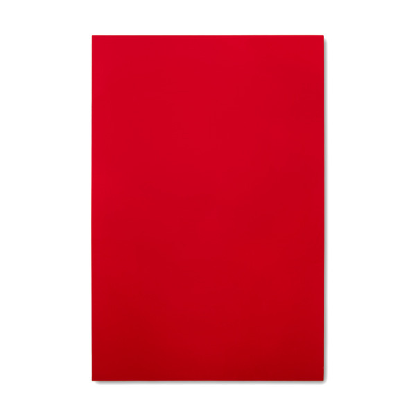 123inkt magnetisch droog uitwisbaar vel rood (20 x 30 cm)  301919 - 1