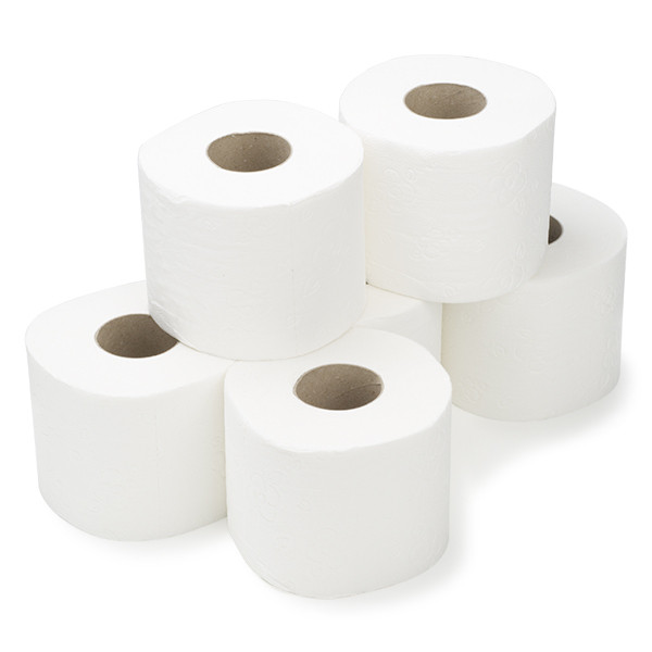 123schoon Maxi Jumbo toiletpapier 2-laags 6 rollen geschikt voor Tork T1 dispenser 120272C 440 SDR02007 - 1