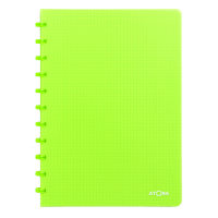 Atoma Trendy geruit schrift A4 transparant groen 72 vellen (5 mm) 4137303 405241