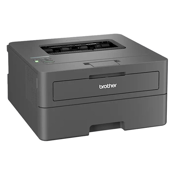 Brother HL-L2400DWE A4 laserprinter zwart-wit met wifi HLL2400DWERE1 832964 - 2