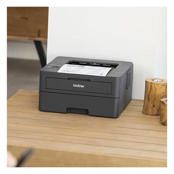 Brother HL-L2400DWE A4 laserprinter zwart-wit met wifi HLL2400DWERE1 832964 - 6