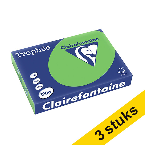 Clairefontaine Aanbieding: 3x Clairefontaine gekleurd papier grasgroen 120 g/m² A4 (250 vellen)  340043 - 1