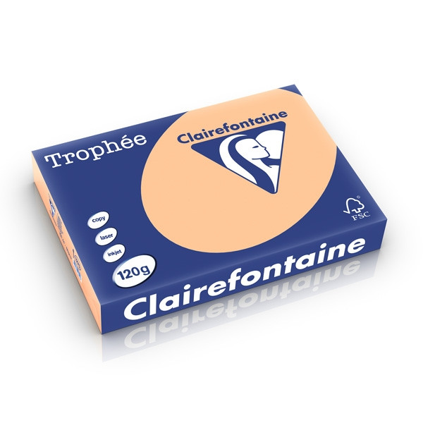 Clairefontaine gekleurd papier abrikoos 120 g/m² A4 (250 vellen) 1275PC 250197 - 1