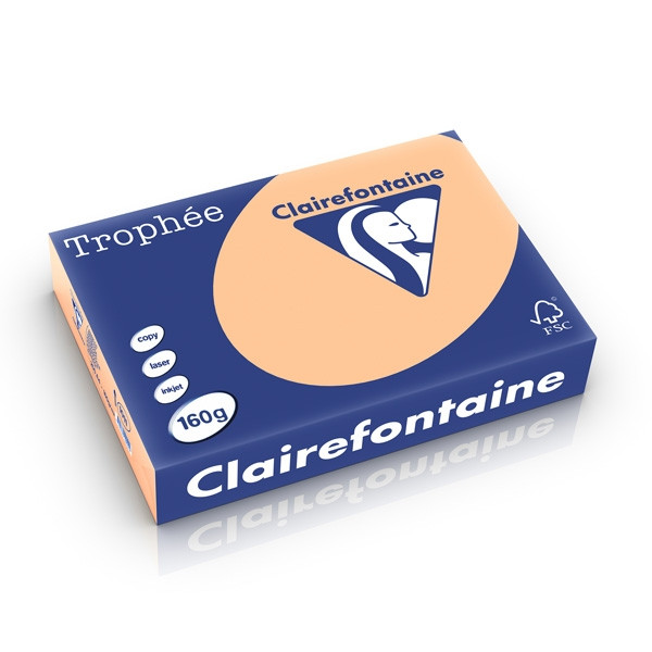Clairefontaine gekleurd papier abrikoos 160 g/m² A4 (250 vellen) 1011PC 250237 - 1