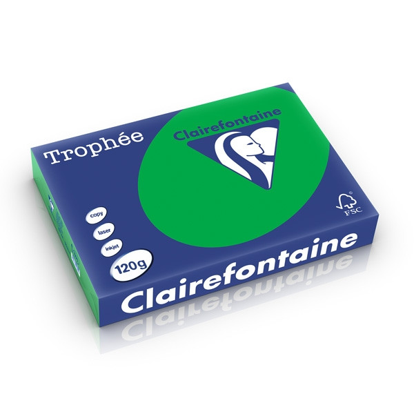 Clairefontaine gekleurd papier biljartgroen 120 g/m² A4 (250 vellen) 1271PC 250212 - 1