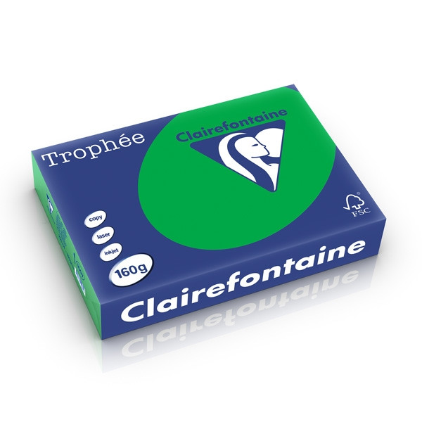 Clairefontaine gekleurd papier biljartgroen 160 g/m² A4 (250 vellen) 1007PC 250265 - 1