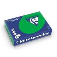 Clairefontaine gekleurd papier biljartgroen 80 g/m² A4 (500 vellen) 250033 250033