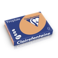 Clairefontaine gekleurd papier caramel 120 g/m² A4 (250 vellen) 1244PC 250196