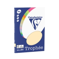 Clairefontaine gekleurd papier chamois/gems 80 g/m² A4 (100 vellen) 250040 250040