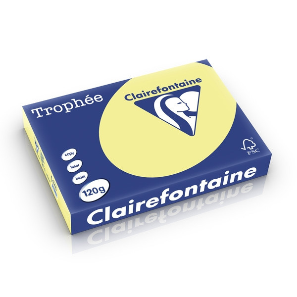 Clairefontaine gekleurd papier citroengeel 120 g/m² A4 (250 vellen) 1207PC 250200 - 1