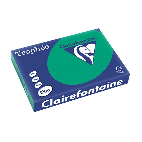 Clairefontaine gekleurd papier dennengroen 120 g/m² A4 (250 vellen) 1224PC 250086 - 1