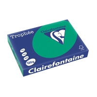 Clairefontaine gekleurd papier dennengroen 120 g/m² A4 (250 vellen) 1224PC 250086