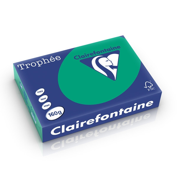 Clairefontaine gekleurd papier dennengroen 160 g/m² A4 (250 vellen) 1019PC 250266 - 1