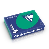 Clairefontaine gekleurd papier dennengroen 160 g/m² A4 (250 vellen) 1019PC 250266