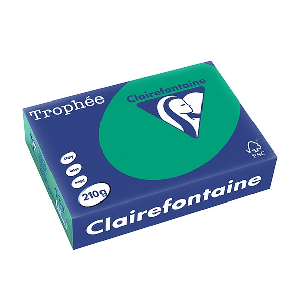 Clairefontaine gekleurd papier dennengroen 210 grams A4 (250 vel) 2213PC 250105 - 1