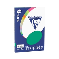 Clairefontaine gekleurd papier dennengroen 80 g/m² A4 (100 vellen) 250044 250044