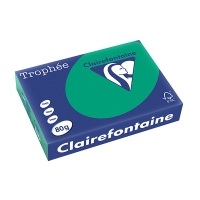 Clairefontaine gekleurd papier dennengroen 80 g/m² A4 (500 vellen) 250062 250062