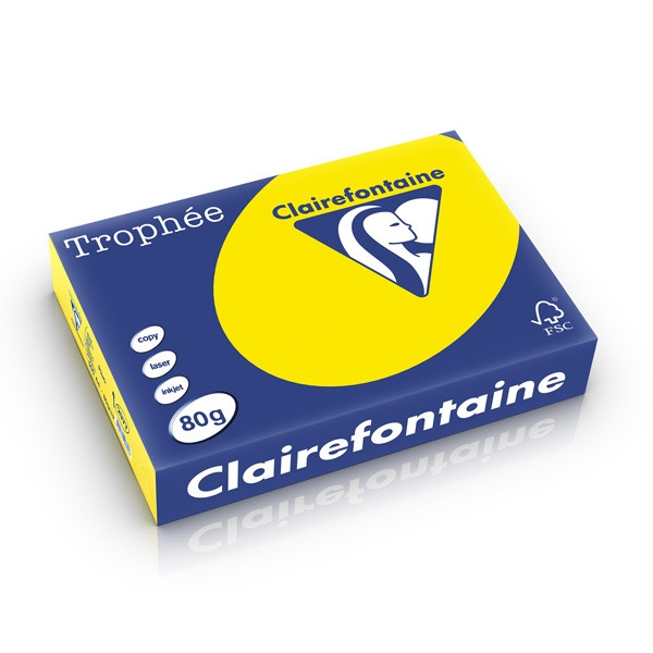 Clairefontaine gekleurd papier fluogeel 80 g/m² A4 (500 vellen) 250287 250287 - 1