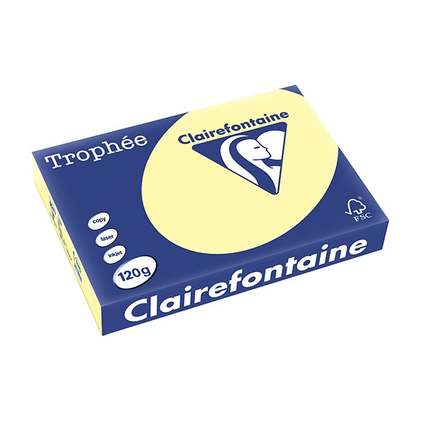Clairefontaine gekleurd papier geel 120 g/m² A4 (250 vellen) 1248PC 250074 - 1