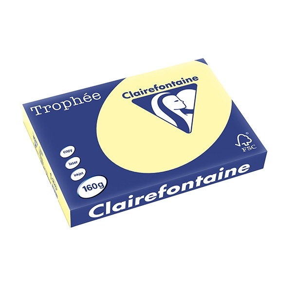 Clairefontaine gekleurd papier geel 160 g/m² A3 (250 vellen) 2640PC 250147 - 1