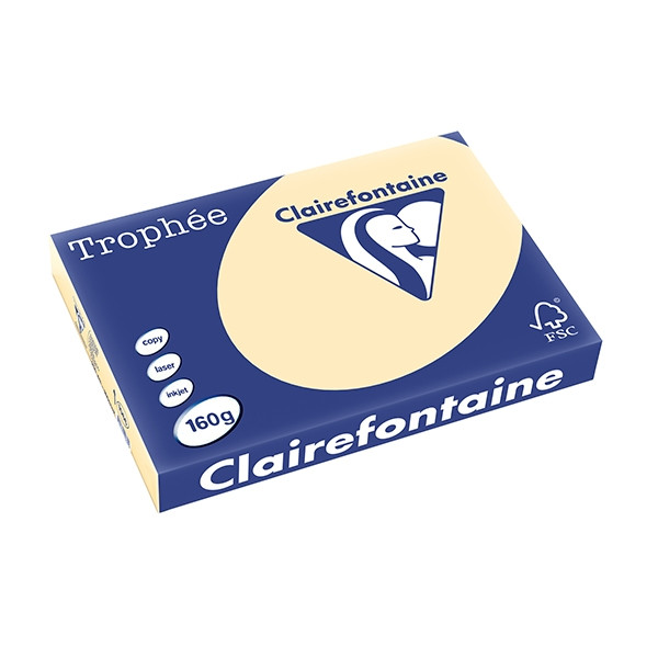 Clairefontaine gekleurd papier gems 160 g/m² A3 (250 vellen) 1066PC 250145 - 1