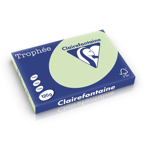 Clairefontaine gekleurd papier golfgroen 120 g/m² A3 (250 vellen) 1315C 250225 - 1