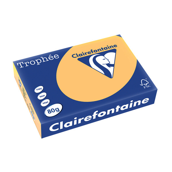 Clairefontaine gekleurd papier goudgeel 80 g/m² A4 (500 vellen) 1780PC 250165 - 1