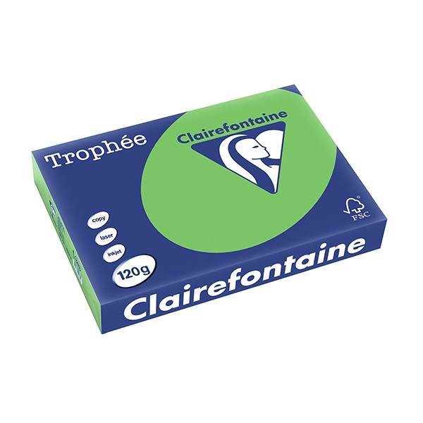 Clairefontaine gekleurd papier grasgroen 120 g/m² A4 (250 vellen) 1293PC 250085 - 1
