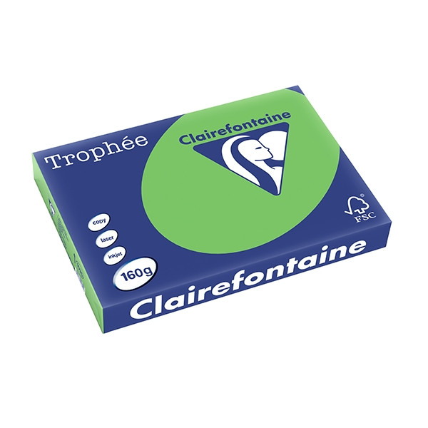 Clairefontaine gekleurd papier grasgroen 160 g/m² A3 (250 vellen) 1035PC 250159 - 1
