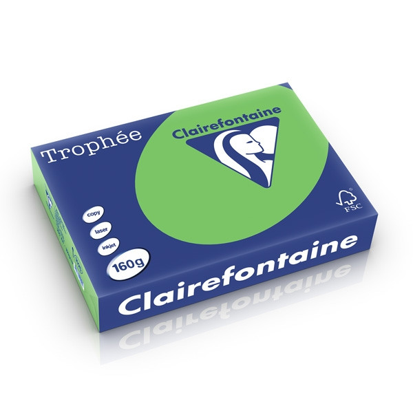 Clairefontaine gekleurd papier grasgroen 160 g/m² A4 (250 vellen) 1025PC 250264 - 1