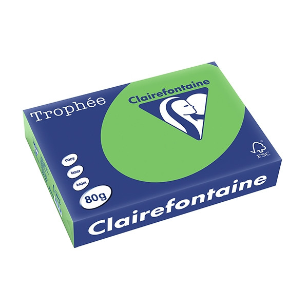 Clairefontaine gekleurd papier grasgroen 80 g/m² A4 (500 vellen) 1875PC 250061 - 1