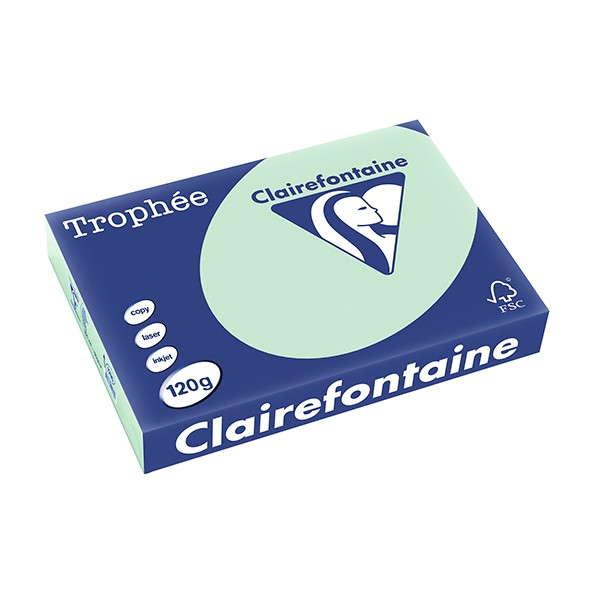 Clairefontaine gekleurd papier groen 120 g/m² A4 (250 vellen) 1216PC 250078 - 1