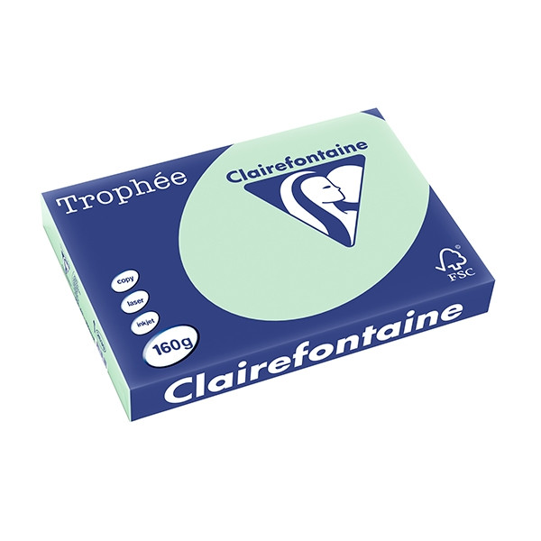 Clairefontaine gekleurd papier groen 160 g/m² A3 (250 vellen) 2639C 250151 - 1