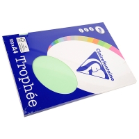 Clairefontaine gekleurd papier groen 80 g/m² A4 (100 vellen) 250002 250002