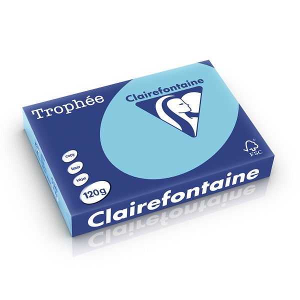 Clairefontaine gekleurd papier helblauw 120 g/m² A4 (250 vellen) 1282PC 250204 - 1