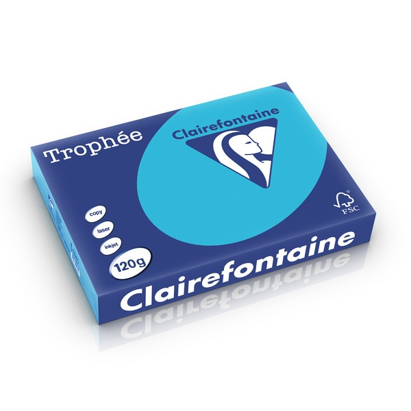 Clairefontaine gekleurd papier koningsblauw 120 g/m² A4 (250 vellen) 1247PC 250210 - 1