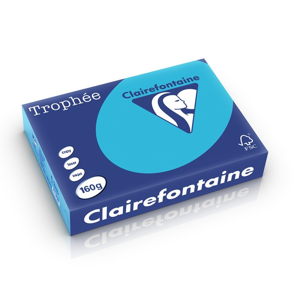 Clairefontaine gekleurd papier koningsblauw 160 g/m² A4 (250 vellen) 1052PC 250260 - 1