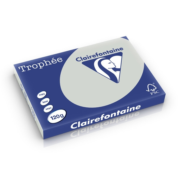 Clairefontaine gekleurd papier lichtgrijs 120 g/m² A3 (250 vellen) 1274C 250213 - 1