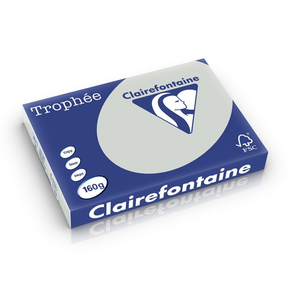 Clairefontaine gekleurd papier lichtgrijs 160 g/m² A3 (250 vellen) 1010PC 250268 - 1