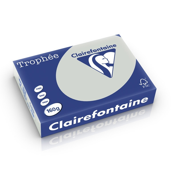 Clairefontaine gekleurd papier lichtgrijs 160 g/m² A4 (250 vellen) 1009PC 250232 - 1
