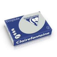 Clairefontaine gekleurd papier lichtgrijs 160 g/m² A4 (250 vellen) 1009PC 250232