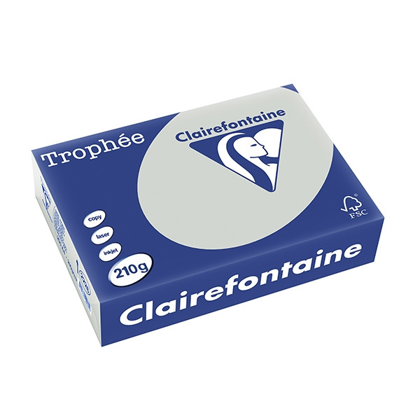 Clairefontaine gekleurd papier lichtgrijs 210 grams A4 (250 vel) 2226PC 250088 - 1