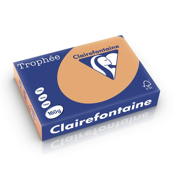Clairefontaine gekleurd papier mokkabruin 160 g/m² A4 (250 vellen) 1102PC 250235 - 1