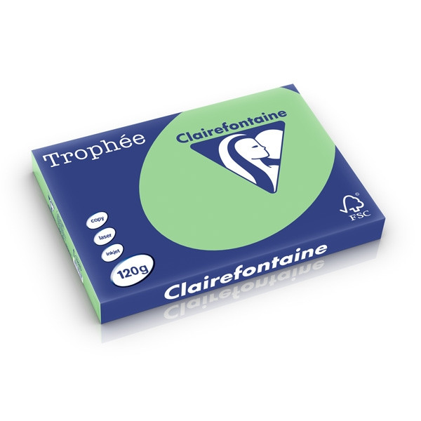 Clairefontaine gekleurd papier natuurgroen 120 g/m² A3 (250 vellen) 1328C 250224 - 1