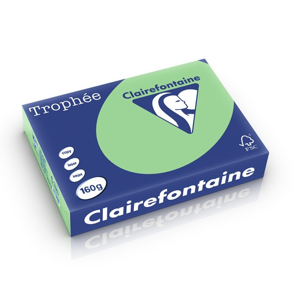 Clairefontaine gekleurd papier natuurgroen 160 g/m² A4 (250 vellen) 1120PC 250250 - 1