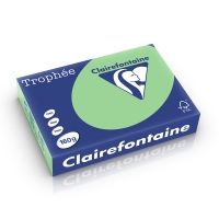 Clairefontaine gekleurd papier natuurgroen 160 g/m² A4 (250 vellen) 1120PC 250250