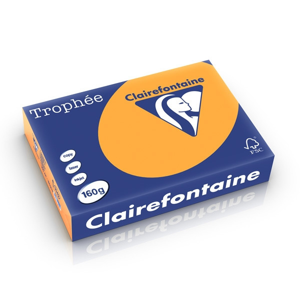 Clairefontaine gekleurd papier oranje 160 g/m² A4 (250 vellen) 1042PC 250236 - 1