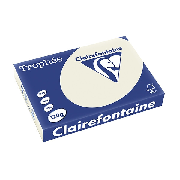 Clairefontaine gekleurd papier parelgrijs 120 g/m² A4 (250 vellen) 1201PC 250070 - 1