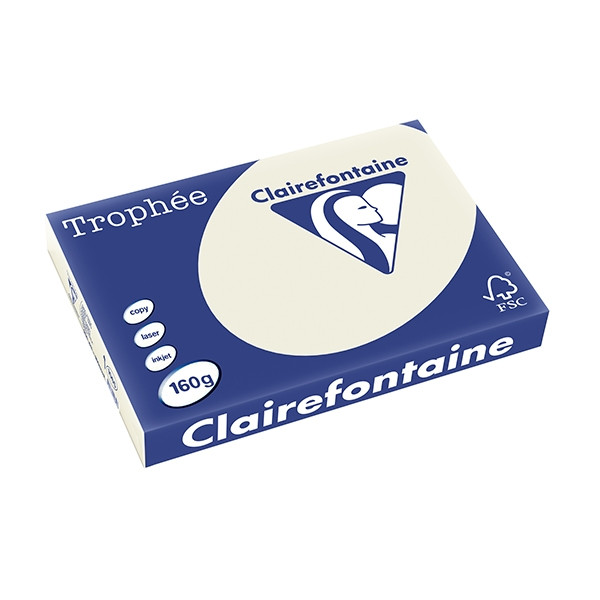 Clairefontaine gekleurd papier parelgrijs 160 g/m² A3 (250 vellen) 1065PC 250143 - 1